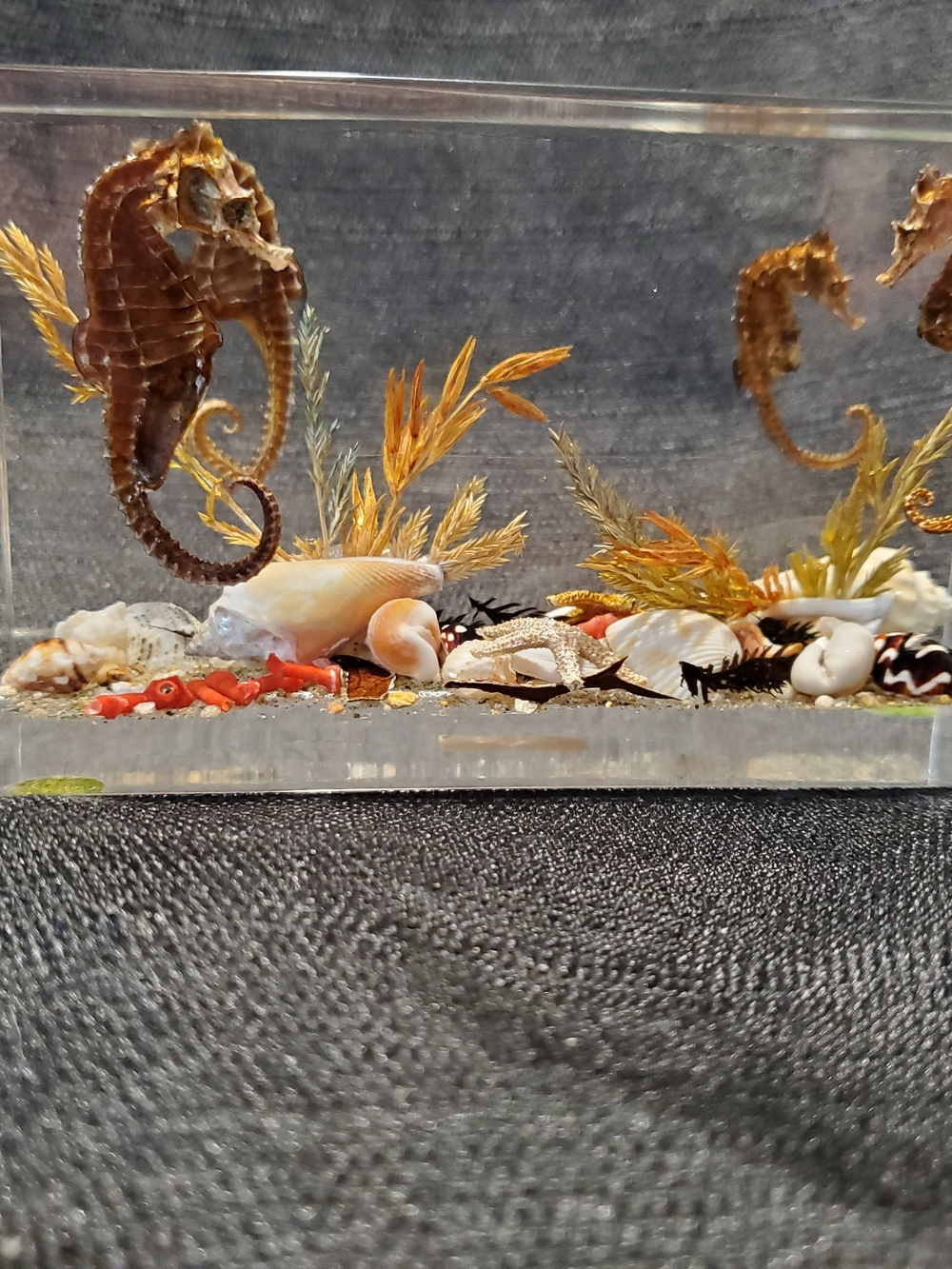 Vintage Mid-Century Canadian Lucite Seahorse Acrylic Block Paperweight